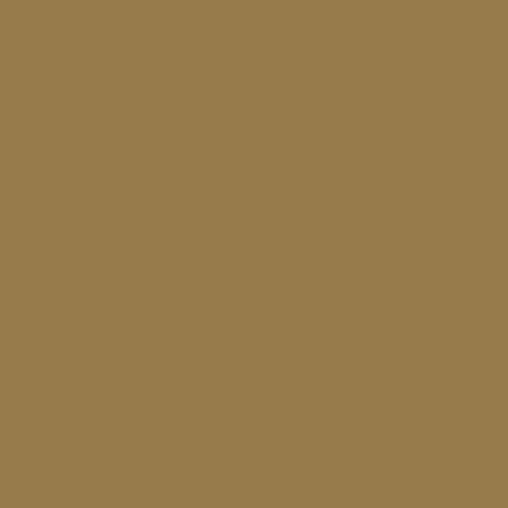 CRICUT Pellicola vinilica Joy (13.9 cm x 121.9 cm, Oro)