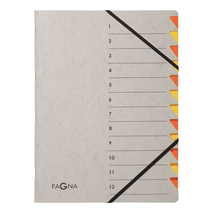 PAGNA Dossier d'index Easy (Orange, Gris, A4, 1 pièce)