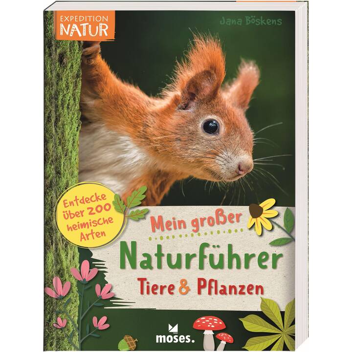 Mein grosser Naturführer Tiere & Pflanzen