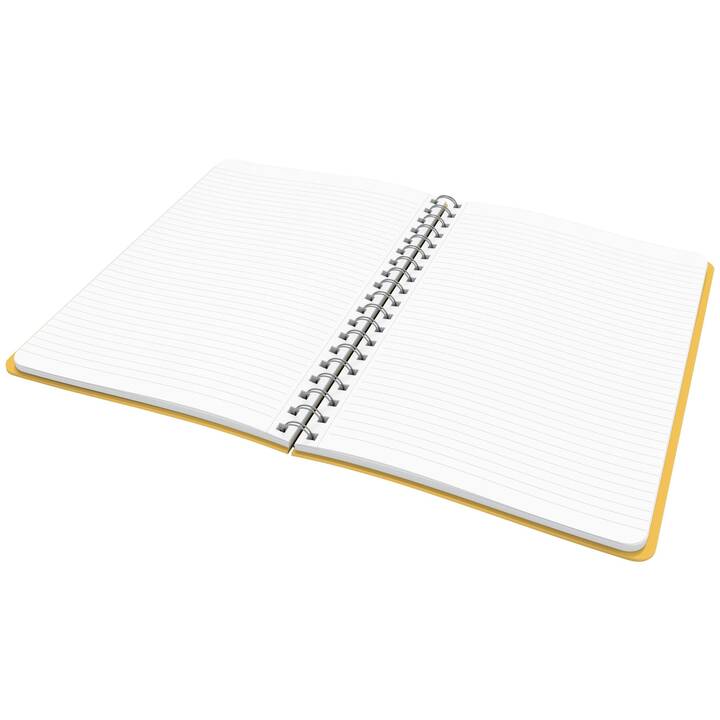 LEITZ Carnets Cosy (B5, Ligné)