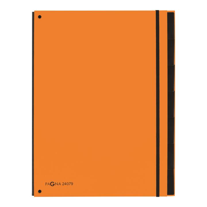 PAGNA Archivio a soffietto Trend (Arancione, A4, 1 pezzo)
