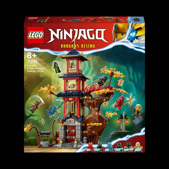 LEGO Ninjago Tempel der Drachenpower (71795)
