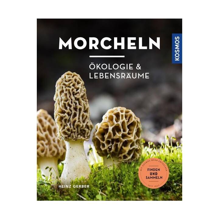 Morcheln