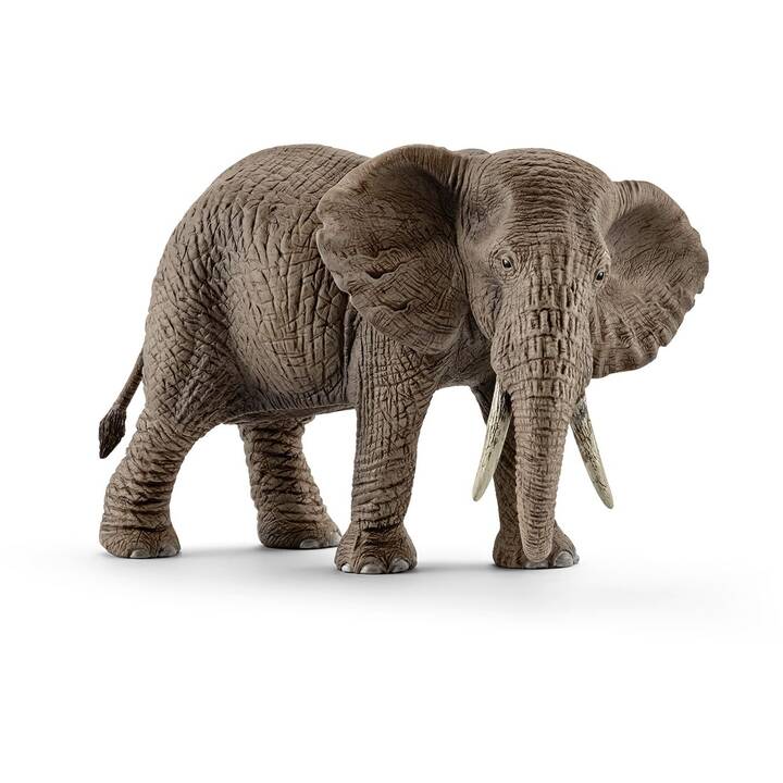 SCHLEICH Wild Life Éléphant