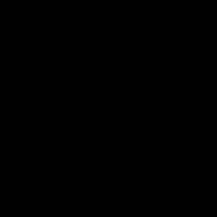 CRICUT Bügelfolie Joy (13.9 cm x 60.9 cm, Schwarz)