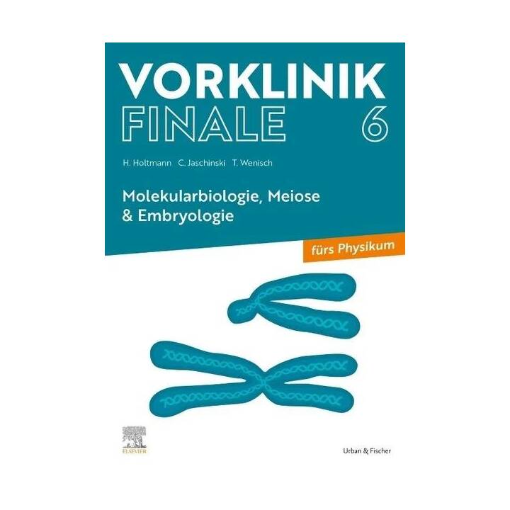 Vorklinik Finale 6