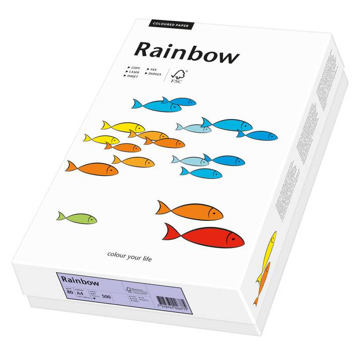 PAPYRUS Rainbow Farbiges Papier (250 Blatt, A4, 160 g/m2)