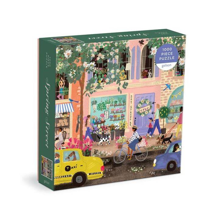 ABRAMS & CHRONICLE BOOKS Spring Street  Puzzle (100 pièce)