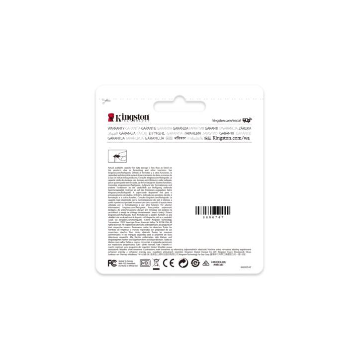 KINGSTON TECHNOLOGY Micro SDXC UHS-I Endurance (UHS-I Class 1, Class 10, A1, 128 Go, 95 Mo/s)