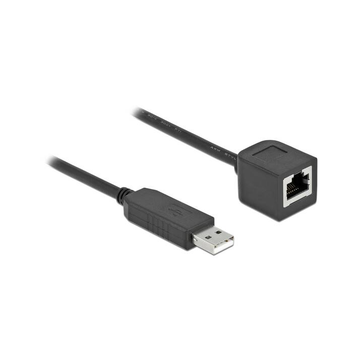 DELOCK Câble d'alimentation (USB de type A, RJ-45, 25 cm)