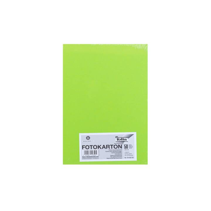 FOLIA Cartone (Verde, A4, 50 pezzo)