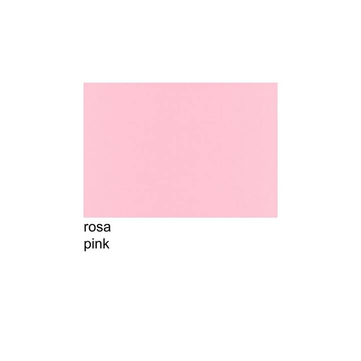 SCALDIA Papier à dessin de couleur Scaldia (Pink, A3, 100 pièce)