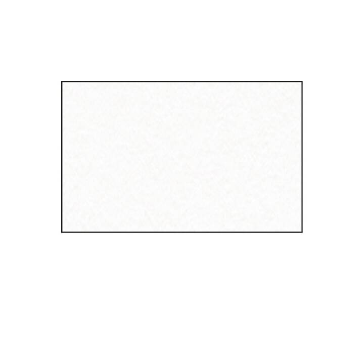 URSUS Carton (Blanc, A4, 100 pièce)