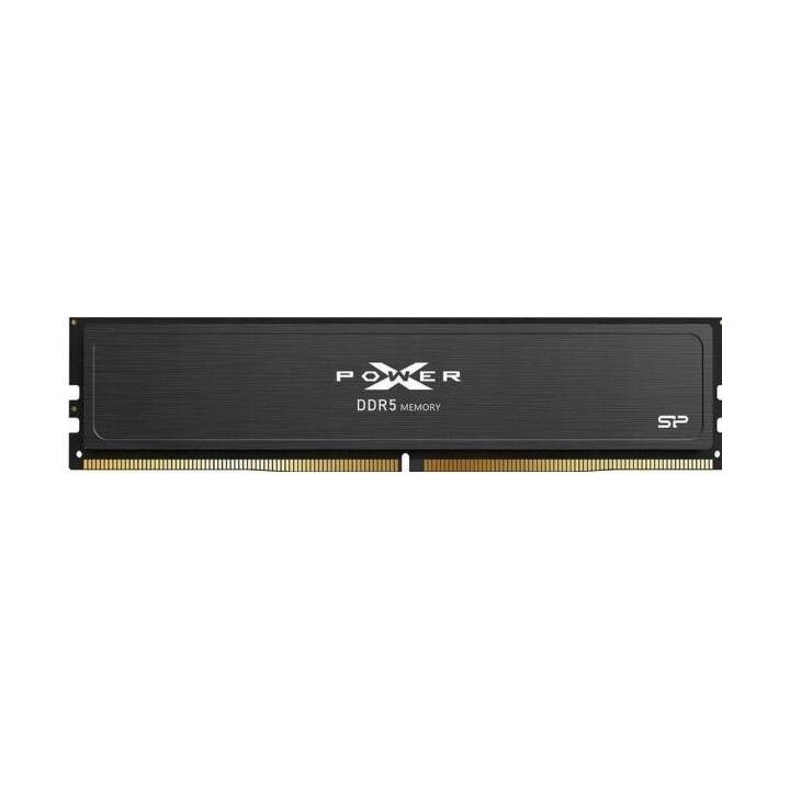 SILICON POWER SP016GXLWU60AFSJ XPOWER Pulse Gaming (1 x 16 Go, DDR5-SDRAM 6000 MHz, U-DIMM)