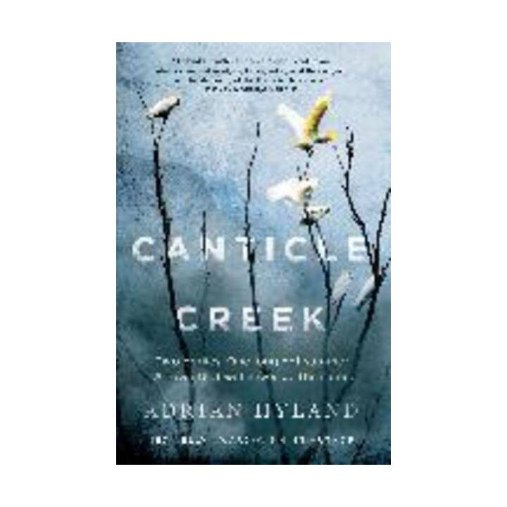 Canticle Creek