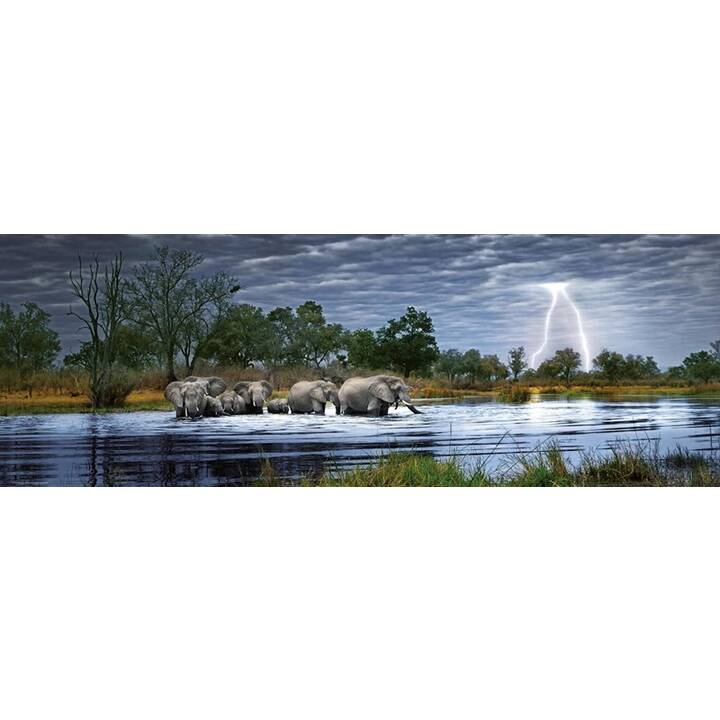 CARLETTO Herd of Elephants Puzzle (2000 x)