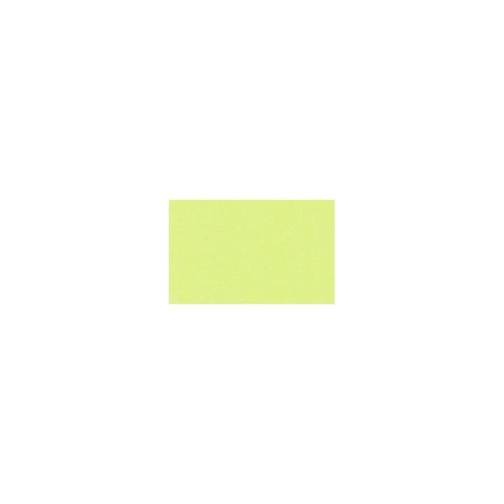 URSUS Papier à dessin de couleur (Vert, A4, 100 pièce)