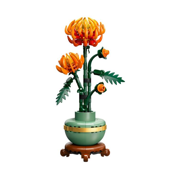 LEGO Icons Le chrysanthème (10368)