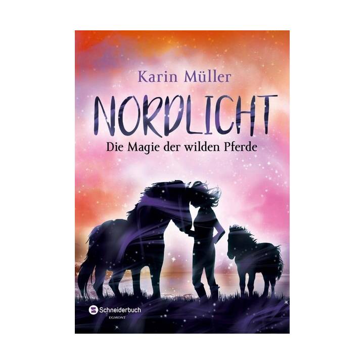 Nordlicht (Band 03)