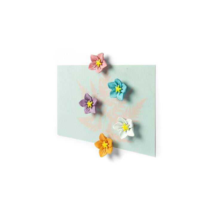 TRENDFORM Blossom Magnet (5 Stück)