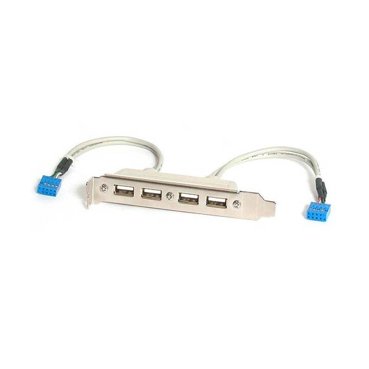 STARTECH.COM Adapter (10 PIN IDC, USB Typ-A)