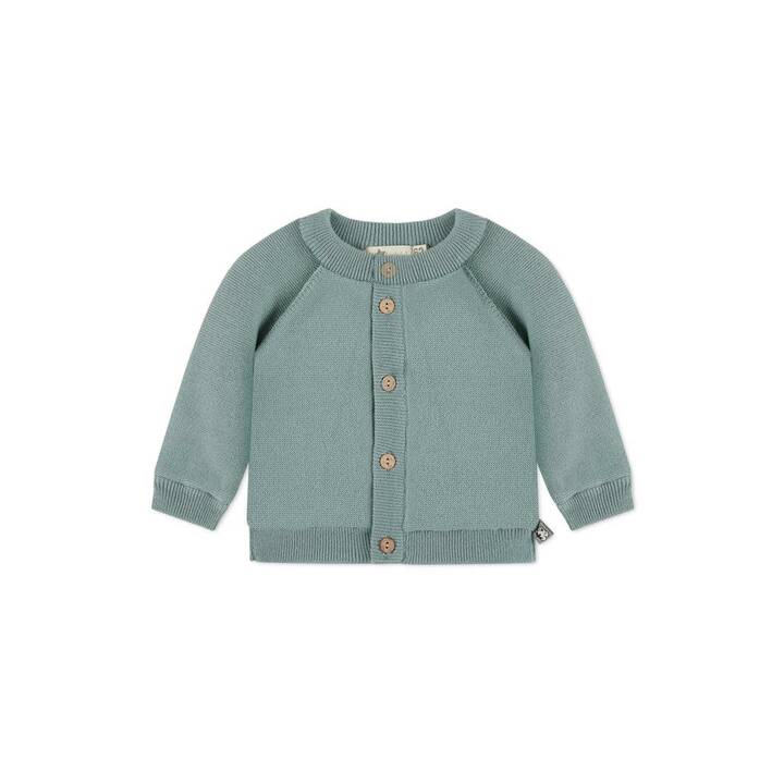 STERNTALER Babyjacke (56, Grün)