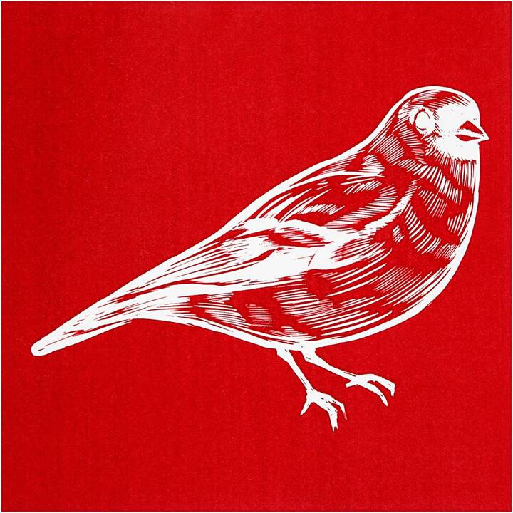 CREATIV COMPANY Spencil per pitturare (Uccelli)