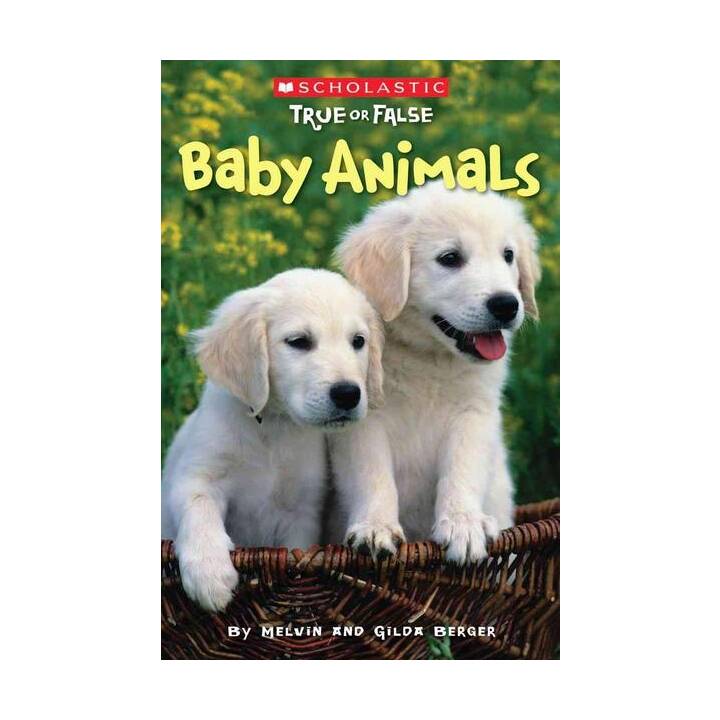 Baby Animals