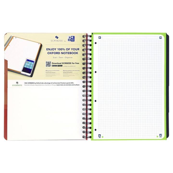 OXFORD Carnets School (A4, Carreaux)