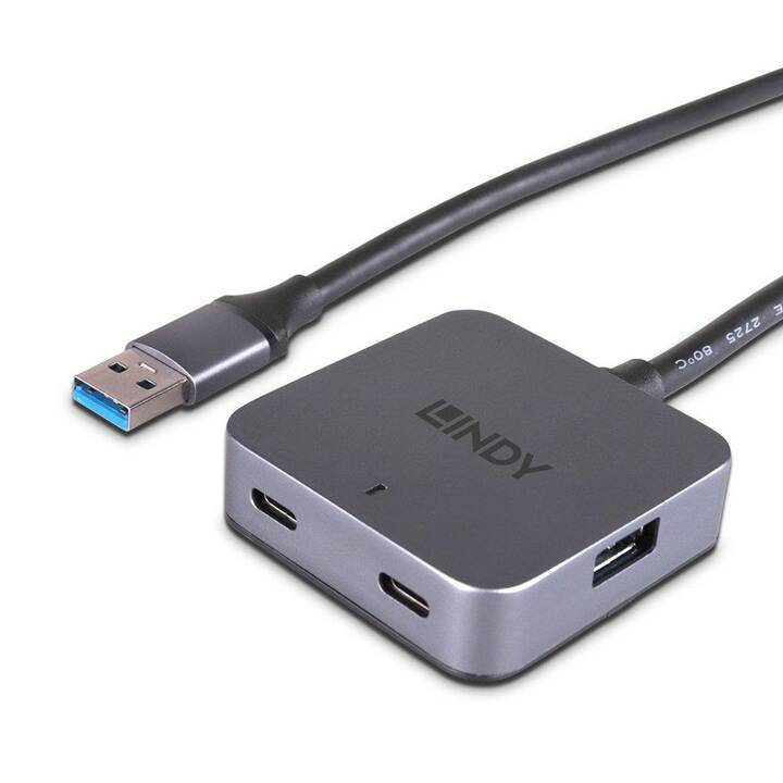 LINDY USB-Hub (4 Ports, USB de type C, USB de type A)
