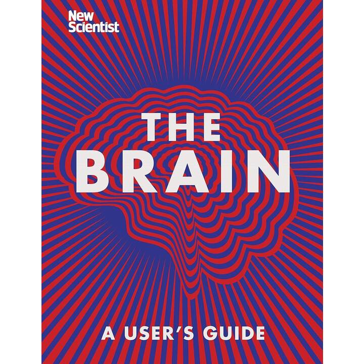 The Brain