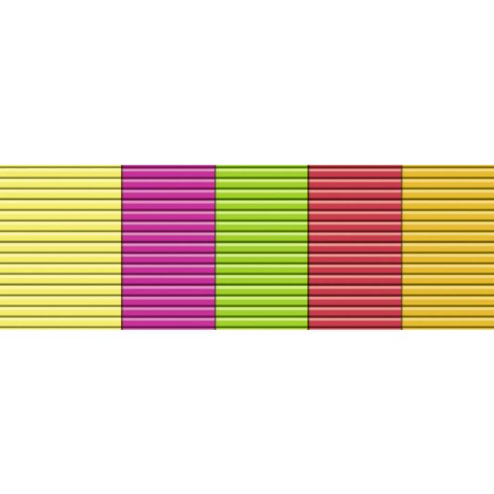 URSUS Cartone ondulato (Multicolore, 10 pezzo)