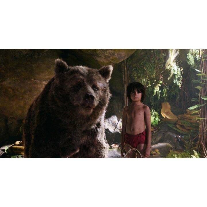 The Jungle Book (2016) (Blu-ray 3D + Blu-ray) (DE)