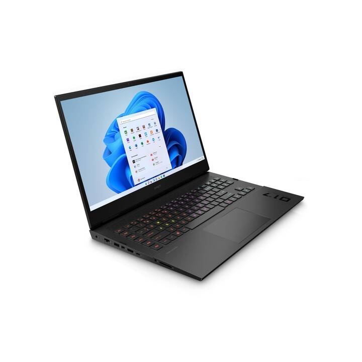HP HP Notebook OMEN 17-ck2940nz (17.3", Intel Core i9, 32 GB RAM, 2000 GB SSD)