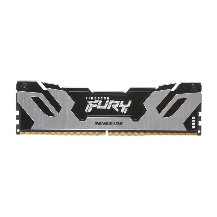 KINGSTON TECHNOLOGY Fury Renegade Silver XMP KF564C32RSK2-96 (2 x 48 Go, DDR5 6400 MHz, DIMM 288-Pin)