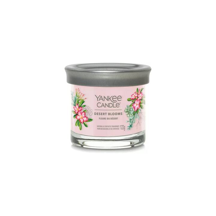 YANKEE CANDLE Bougie parfumée Desert Blooms