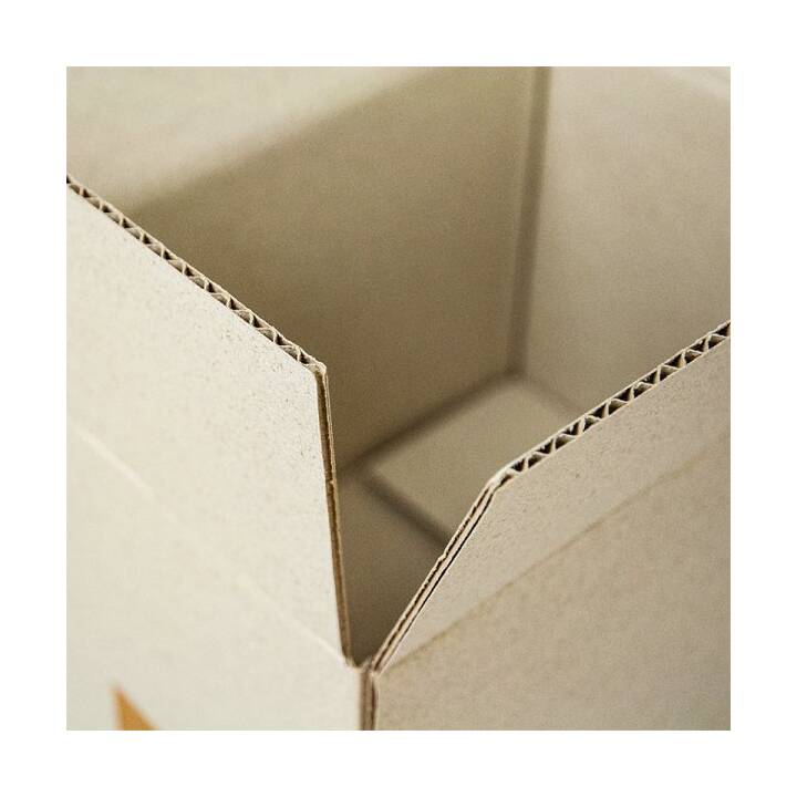 ANTALIS Versandbox (34 cm x 13.4 cm x 24 cm, 25 Stück)