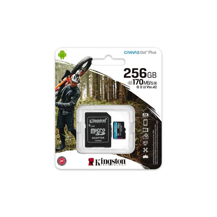 KINGSTON TECHNOLOGY SD Canvas Go! Plus (Class 10, 256 GB, 170 MB/s)