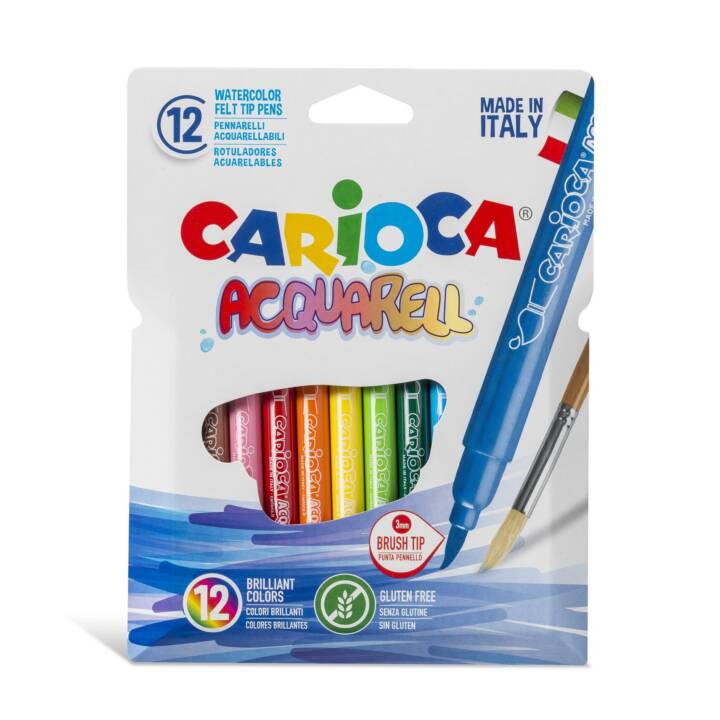 CARIOCA Aquarell Crayon feutre (Multicolore, 12 pièce)