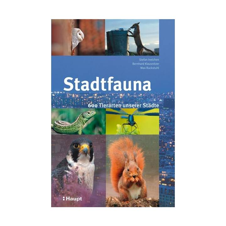 Stadtfauna