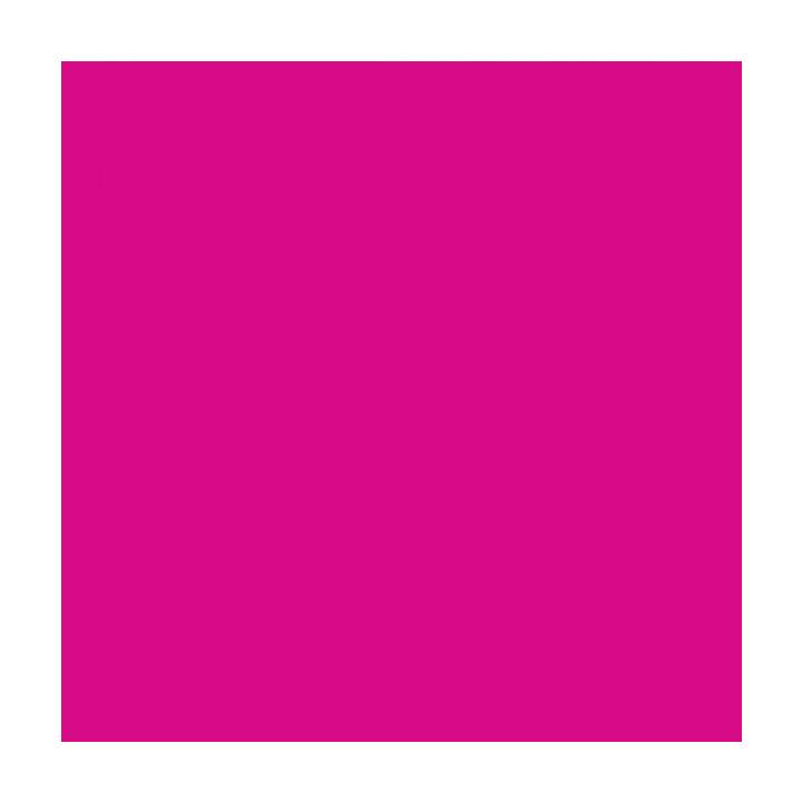 CRICUT Papier de transfert (33 cm x 91 cm, Pink, Rose)