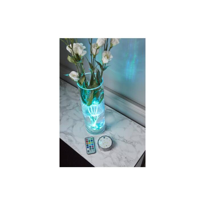 STAR TRADING Water LED-Kerze (Transparent)