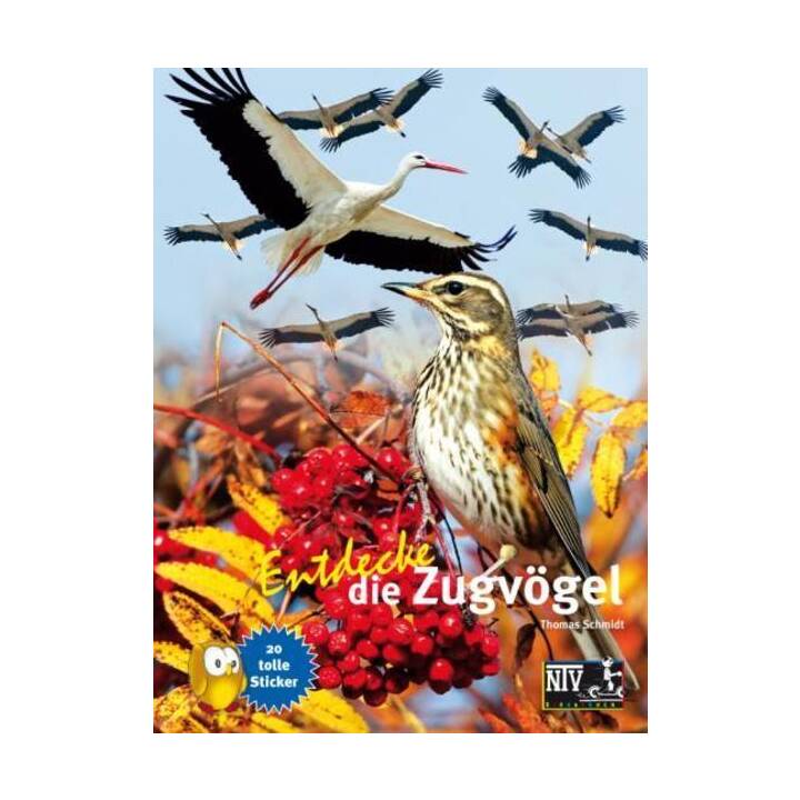 Entdecke die Zugvögel 8