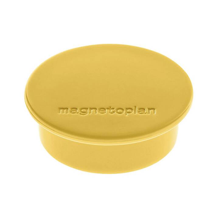 MAGNETOPLAN Discofix Color Puntina magnetico (10 pezzo)