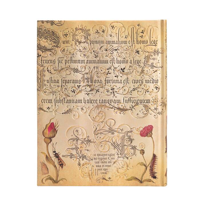 PAPERBLANKS Notizbuch (18 cm x 23 cm, Blanko)