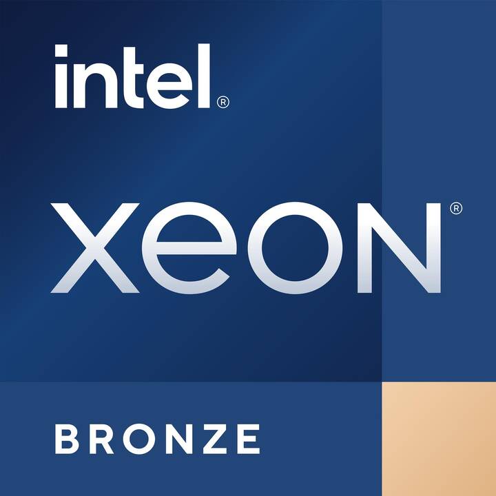 HP ProLiant ML110 Gen11 (Intel Xeon Bronze, 32 GB, 2.1 GHz)