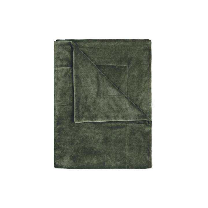 ZEWI BÉBÉ-JOU Couverture douillette Moss (Unicolore, 100 cm x 70 cm)