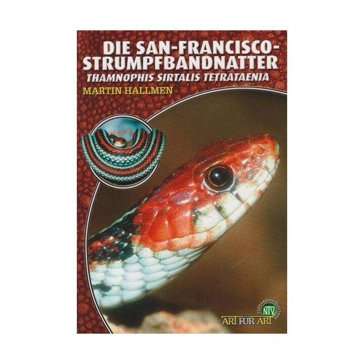 Die San-Francisco-Strumpfbandnatter