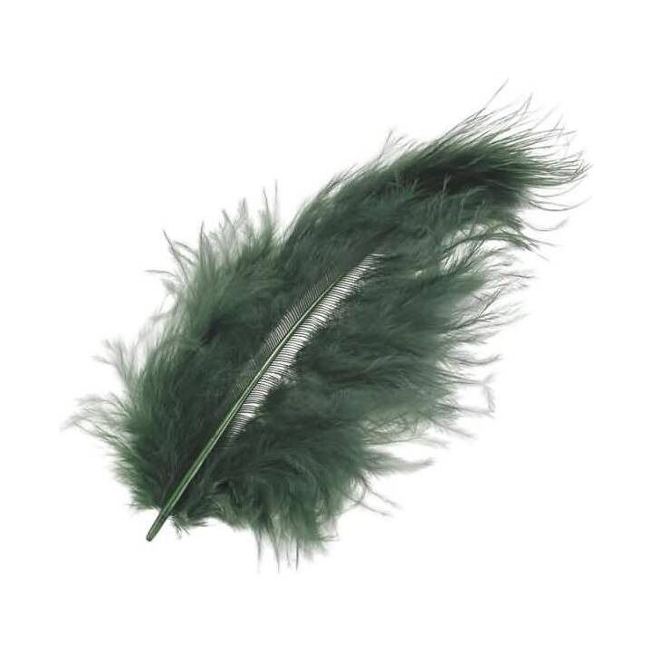 KNORR PRANDELL Plumes (Vert, 15 pièce)