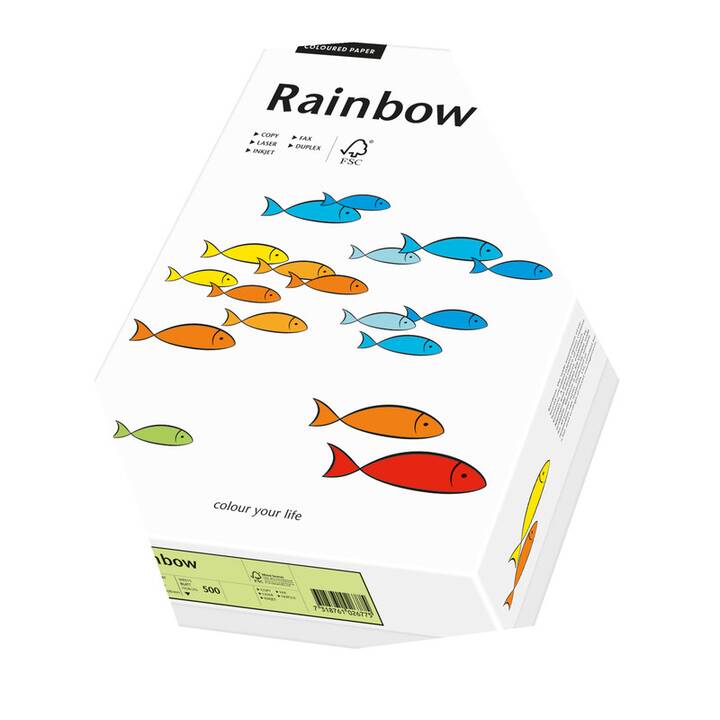 PAPYRUS Rainbow Papier couleur (250 feuille, A4, 160 g/m2)